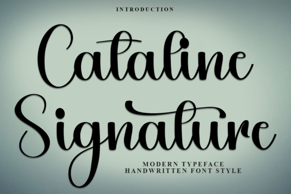 How Cataline Signature Font Elevates Small Business Branding